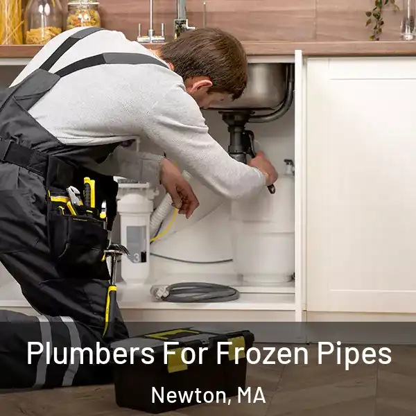  Plumbers For Frozen Pipes Newton, MA
