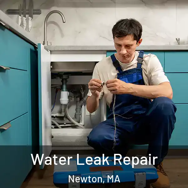  Water Leak Repair Newton, MA